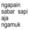 ngapain sabar sapi aja ngamuk