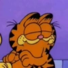 Garfield Cat 15