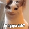 lu ngapa dah?