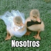 Nosotros
