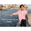 Korean idol aktor dramatis 6