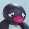 Pingu 15
