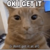 OK I GET IT sadasscats (i don't get it at all)