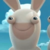 RABBIT  15