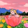 🪄✨ Sailor Moon 🌙🪄✨ 16
