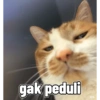 gak peduli