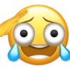 Emoji iphone plenger 🫪 5