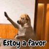 Estoy a favor