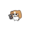 The damn dawg 11