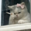 📮😝 MOODS | REACCIONES 13 😝📮 9