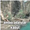 amboi ada ular kadut