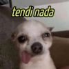 tendi nada