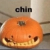 chin лы
