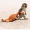 🐵 PUNCH EL MONITO 🧸 8