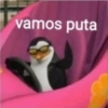 vamos puta