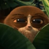 Hidden sloth