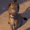 Shrek's donkey  6
