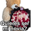 Harley Stickers Quieres ser mi novia?