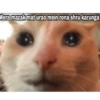 Hindi meme new  10