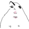 Meme do hamster 🐹 14