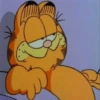 Garfield Cat 7