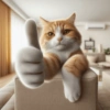 Gatos 5