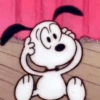 Snoopy fora de contexto 🐶 14