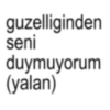 guzelliginden seni duymuyorum (yalan)