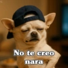 치료 No te creo nara
