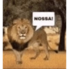 NOSSA!