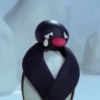 PINGUZADA 😜🐧 12