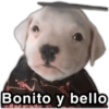 Bonito y bello