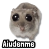 ¡Ayúdenme!