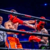 Westcol 💸🥊 16