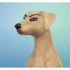 Floptok 5