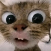 🐈‍⬛🐱🧶 GATOS | CATS 5 🧶🐱🐈‍⬛ 17