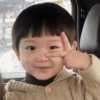 BOCIL KOREA BUCIN 13
