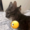 🫯🫪 WTF - OMG [Mood] 🫪🫯 13