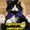 Gato halloween 15