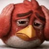 Angry Birds 8