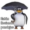 Están lloviendo pendejos