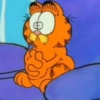 Garfield Cat 17