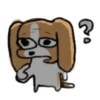 The damn dawg 14