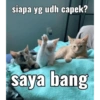 siapa yg udh capek? saya bang