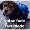 R vai se fude faculdade