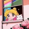 🪄✨ Sailor Moon 🌙🪄✨ 18