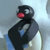 Pingu 12