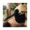 Panda com Chapéu
