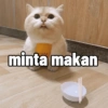 minta makan