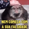 MACAQUINHA XINGXING 🐵🤎 6